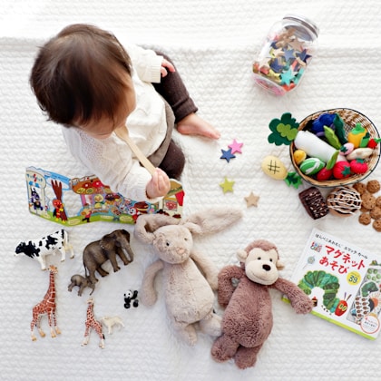 Nursery storage with toys